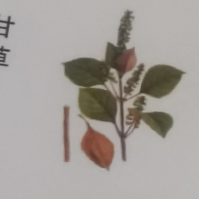 商家头像