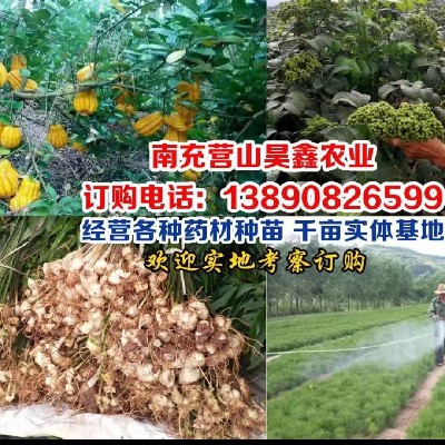 商家头像