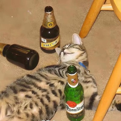 商家头像