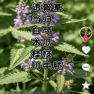 商家头像