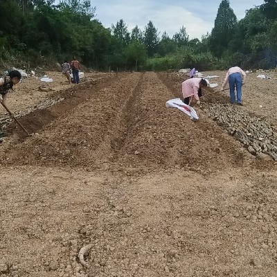 商家头像