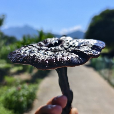 商家头像