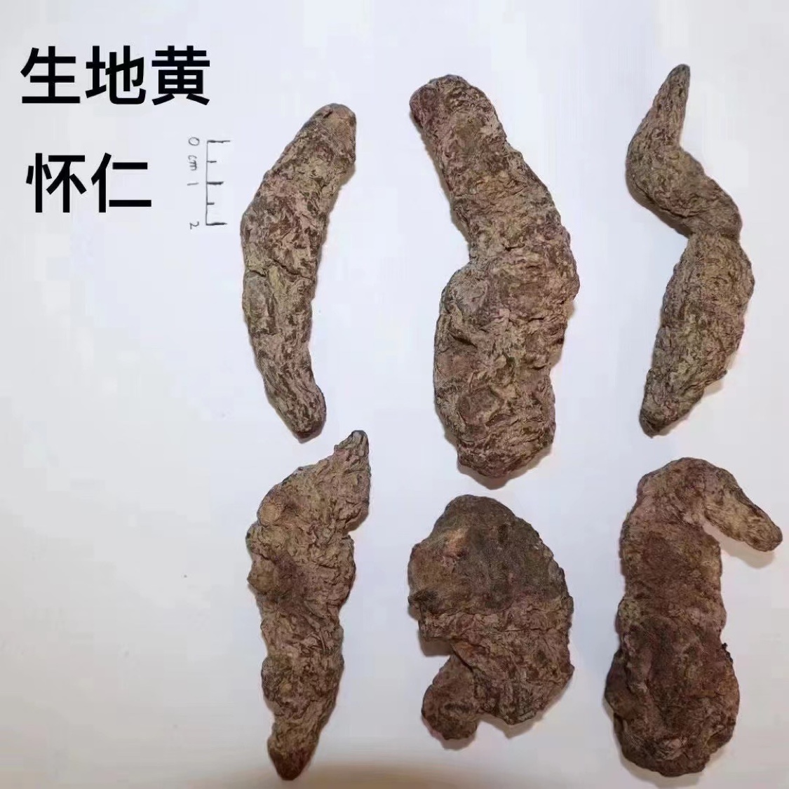商家头像