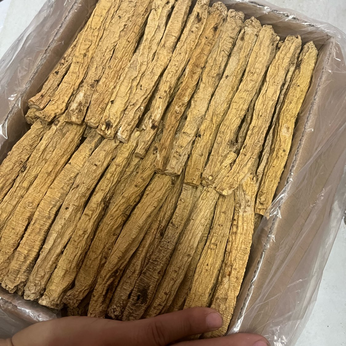 商家头像
