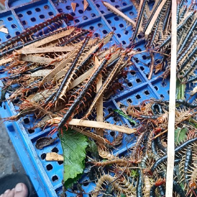 商家头像