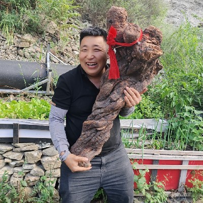 商家头像