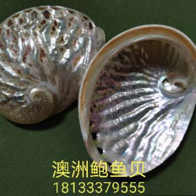 商家头像