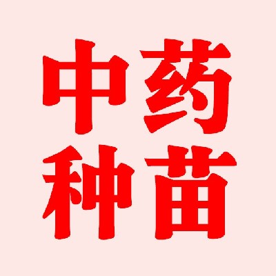 商家头像