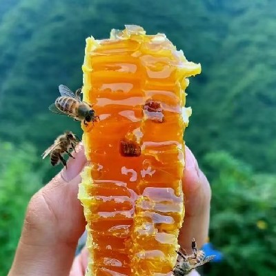 商家头像