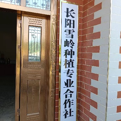 商家头像