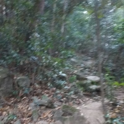 商家头像
