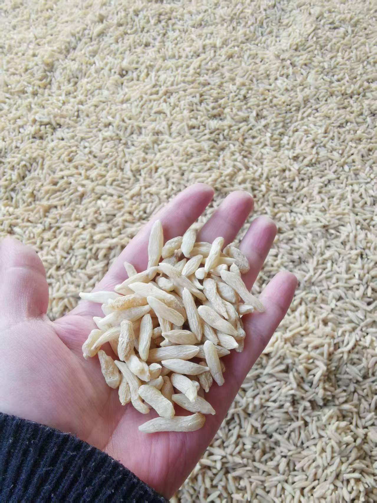 商家头像