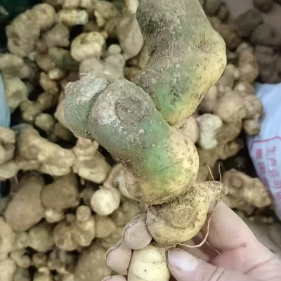 商家头像
