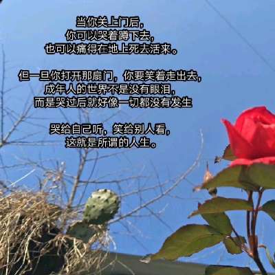 商家头像