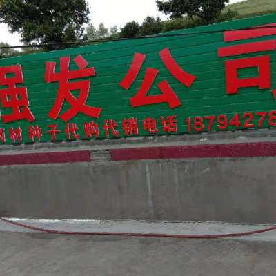商家头像