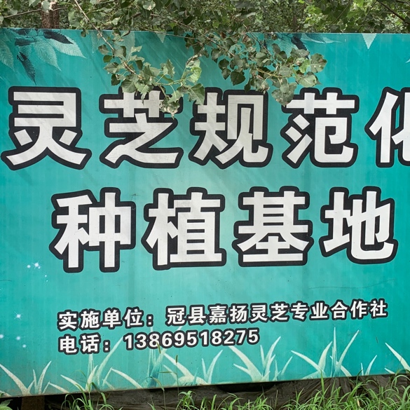 商家头像
