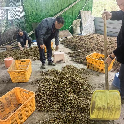 商家头像