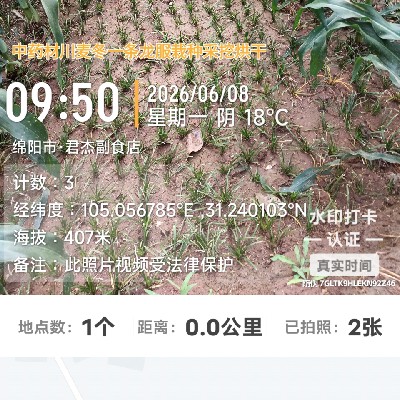 商家头像