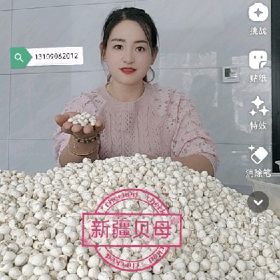 商家头像