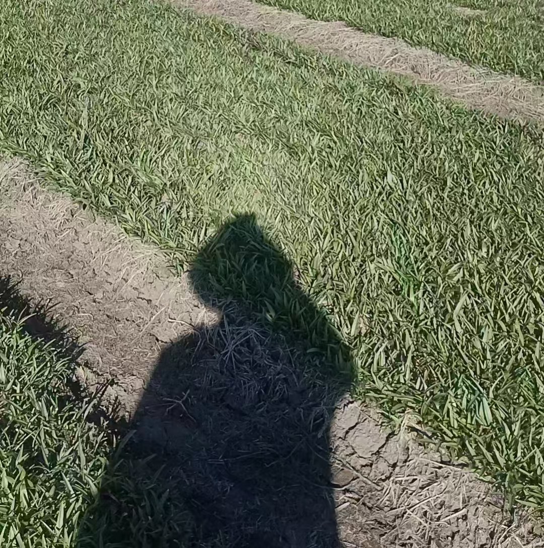 商家头像