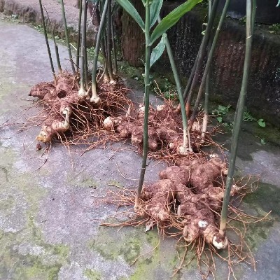 商家头像