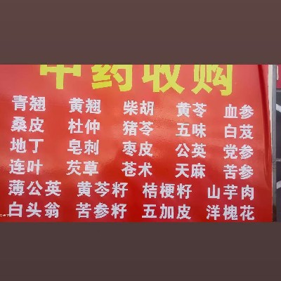 商家头像