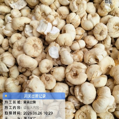 商家头像