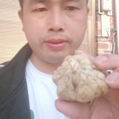 商家头像