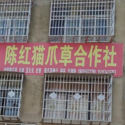 商家头像