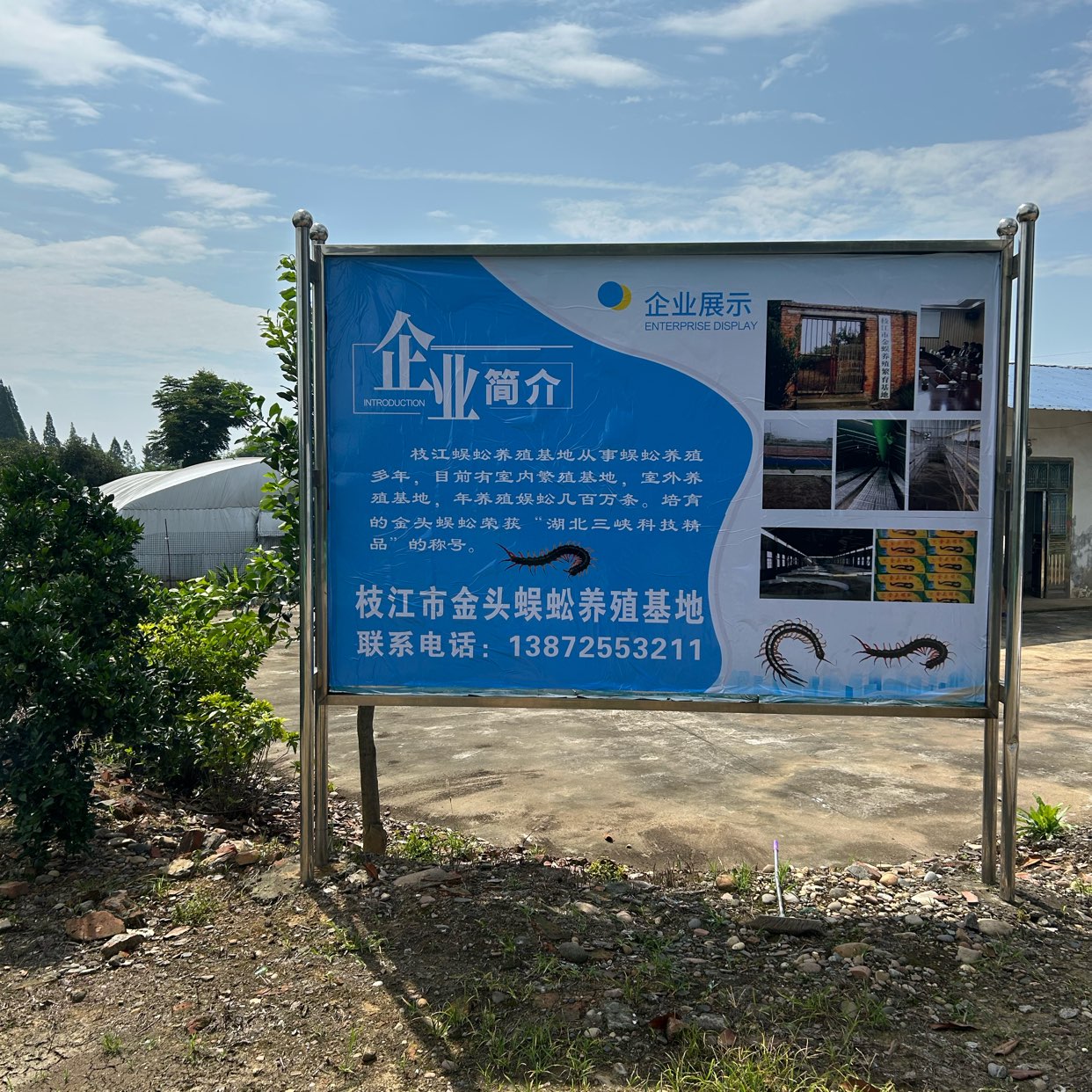 商家头像