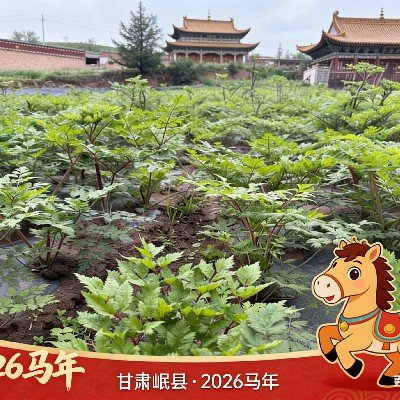 商家头像