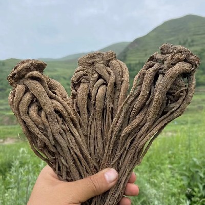 商家头像