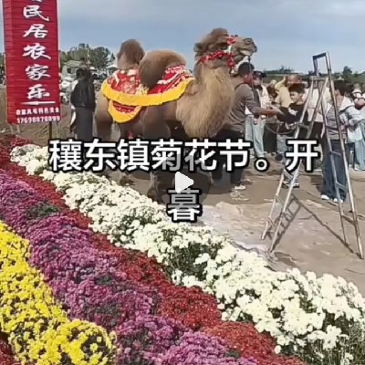 商家头像