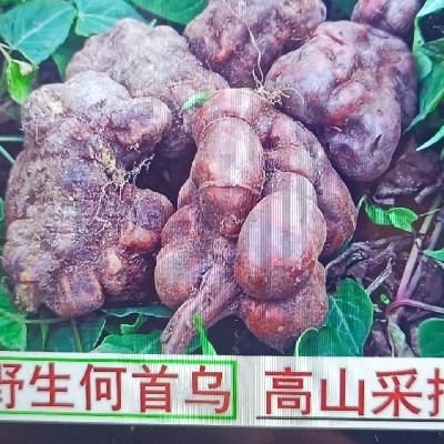 商家头像