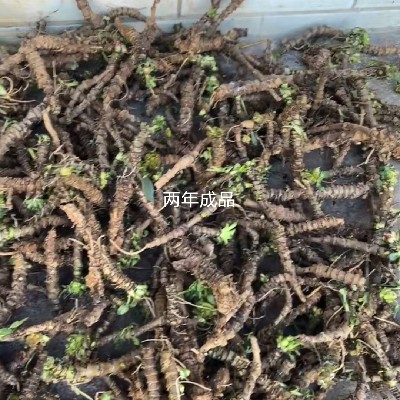 商家头像