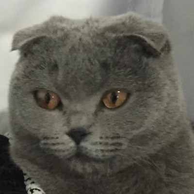 商家头像