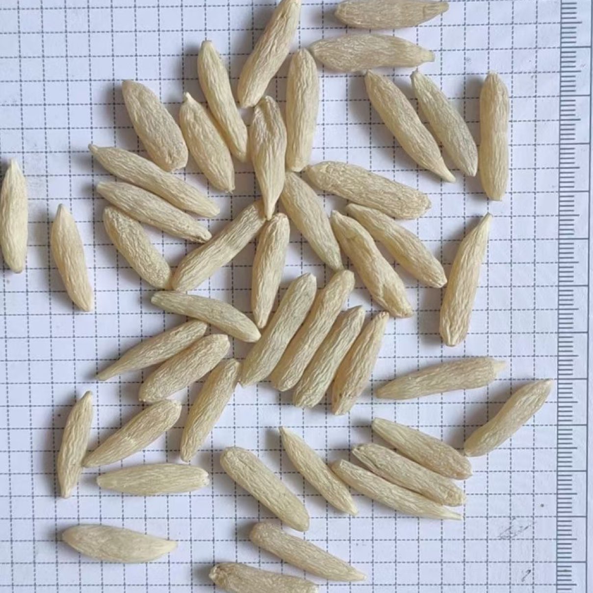 商家头像
