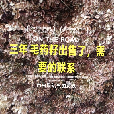商家头像