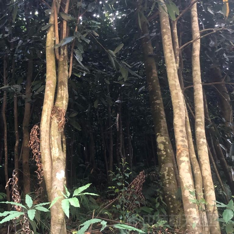 商家头像