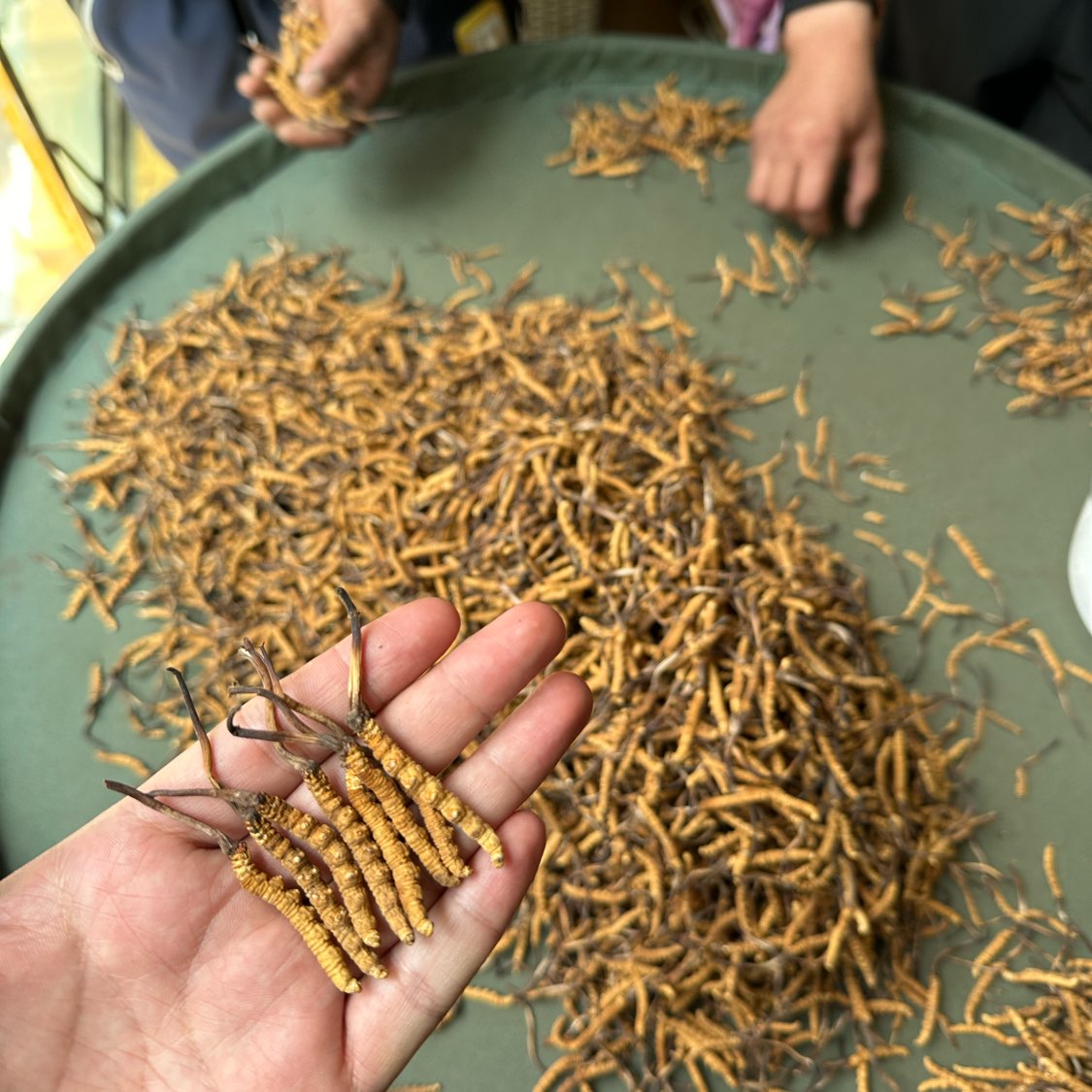 商家头像