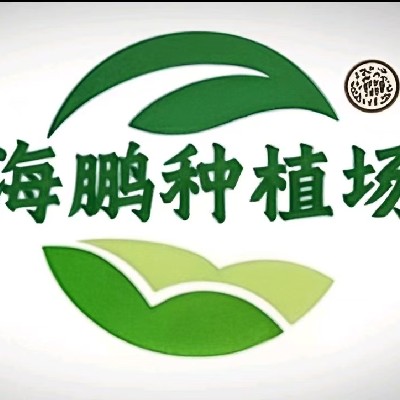 商家头像