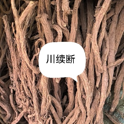 商家头像