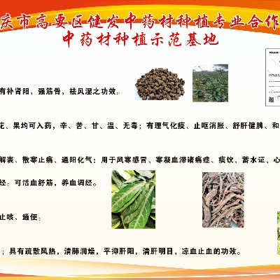商家头像