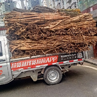 商家头像