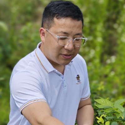 商家头像