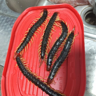商家头像
