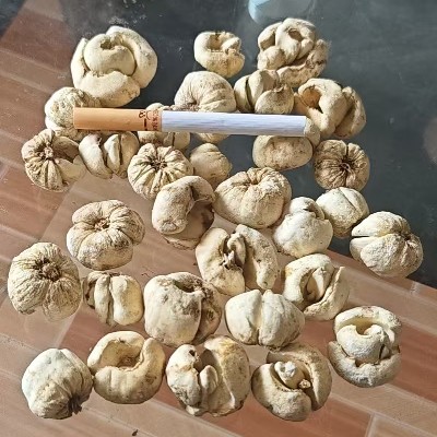 商家头像