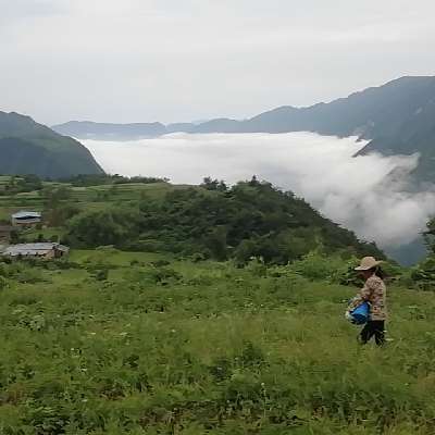 商家头像