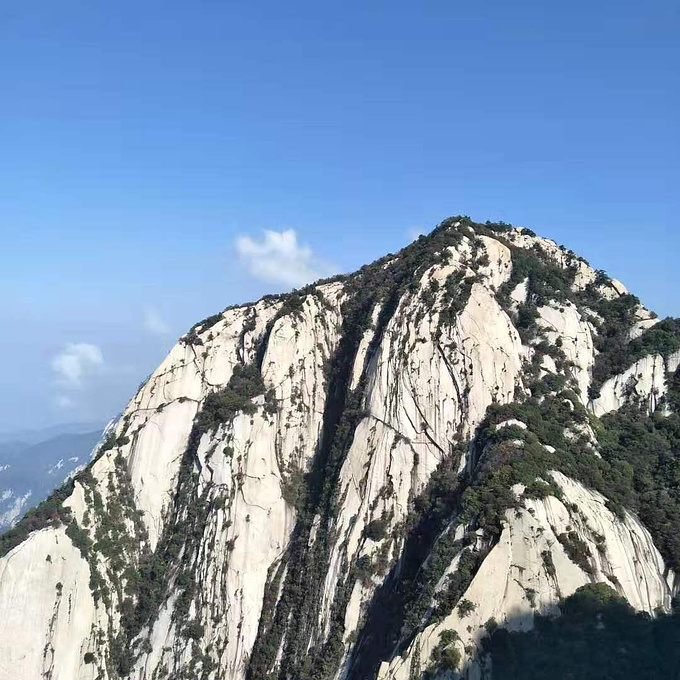 商家头像