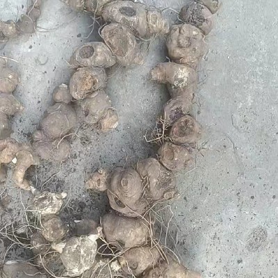 商家头像